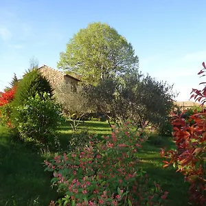 Le Vieux Tilleul Banne